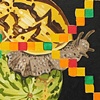 Snail and Melon