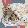 Birch Icon 3