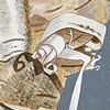 Birch Icon 4