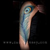 Tyler's peacock feather