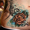 Scott's dead rose