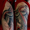 Lindsay's phoenix