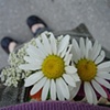 Spring walk