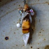 Tiger tail in shell pendant - P 05