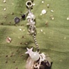 Crystal & silver look pendant - P 09