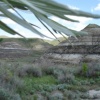 Drumheller