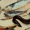 Still Life with Eels