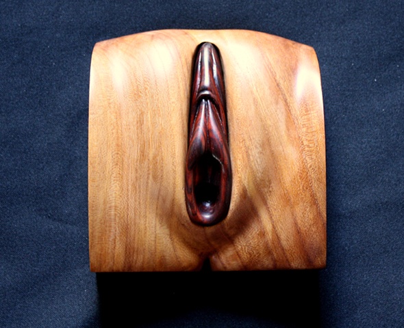 Lynn Pussy Pipe