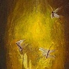 Moths