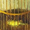 Dead Bird