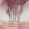 Petals