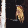 The Play House - Solo show  2003
Catalogue available