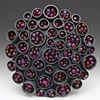 Seed Pod