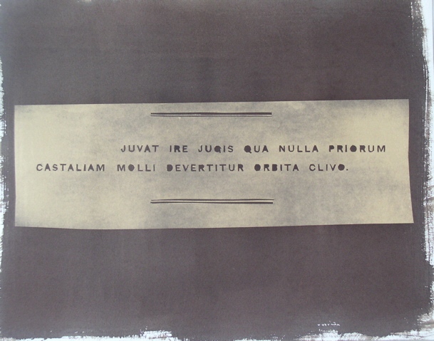 calotype by Molly Springfield