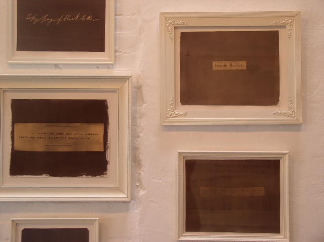 calotypes by Molly Springfield