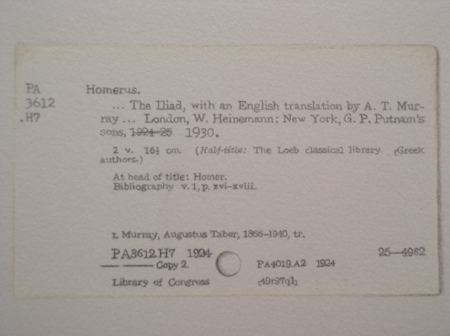 graphite colored pencil drawing card catalogue card by Molly Springfield