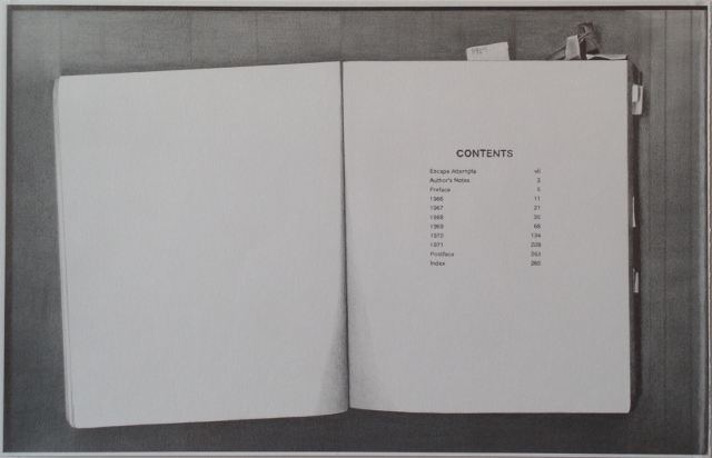 graphite drawing book photocopy by Molly Springfield