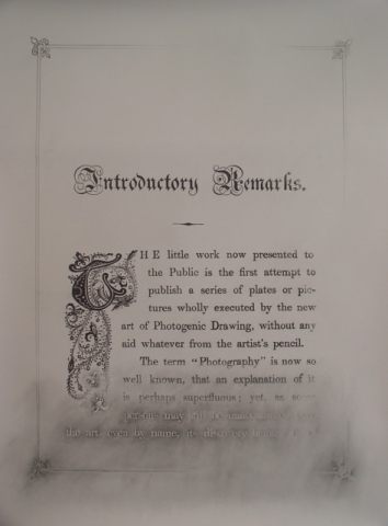 graphite drawing text by Molly Springfield