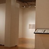 Translation (Installation at Steven Wolf Fine Arts)