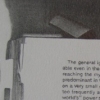 Index (detail)
