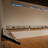 Translation (Installation at Steven Wolf Fine Arts)