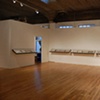 Translation (Installation at Steven Wolf Fine Arts)