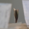 Untitled (memory landscape)