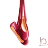 Red Ribbon Ballet Shoes
by Linda Boucher