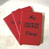 My Secret Diary
Red Moleskine Notebook
by Linda Boucher