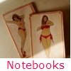 Moleskine Notebooks