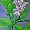 Blooming Dream