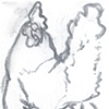 Sketch