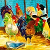 Not my rooster