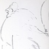 Sketch