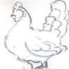 Sketch