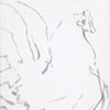 Sketch