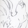 Sketch