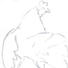 Sketch