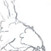 Sketch