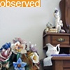 Observed