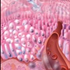 Botox | Collagen | Fibrogen - Beauty?