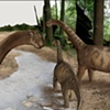 3D Paeleontology Narrative | Jessica Misko