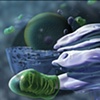 3D Modeling  Golgi Apparatus| Hannah Wilhelm