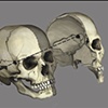 Digital Illustration: Forensic Reconstruction | Lauren Hemphill
