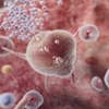 Microscopic Views - The Unseen World