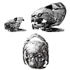Dunkelosteus Plate