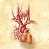 Heart Revealed | Brandon Stelter
