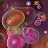 Cancer Controlled?