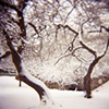 Riverside Park, NY