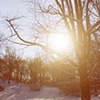Central Park, NY